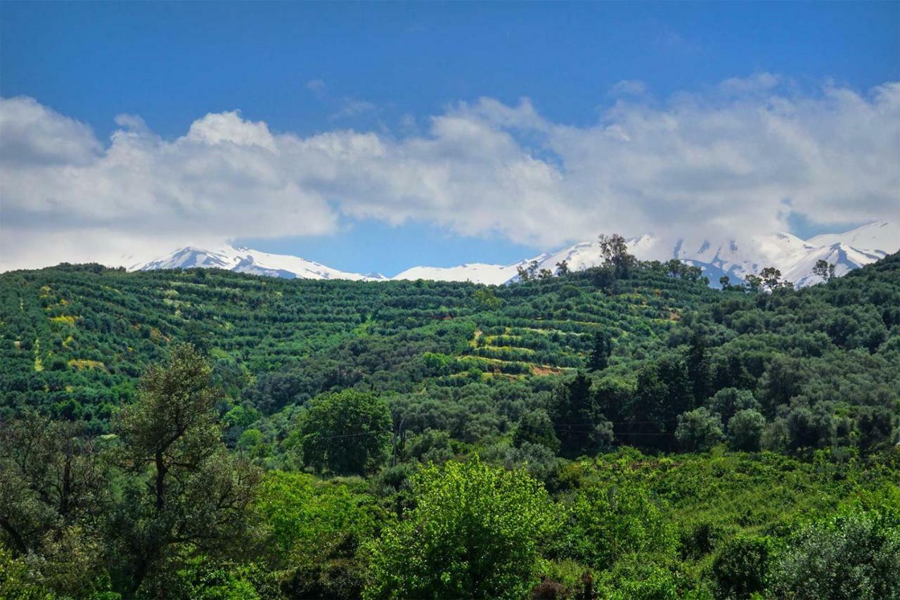 Anthos Village Αγιά Εξωτερικό φωτογραφία